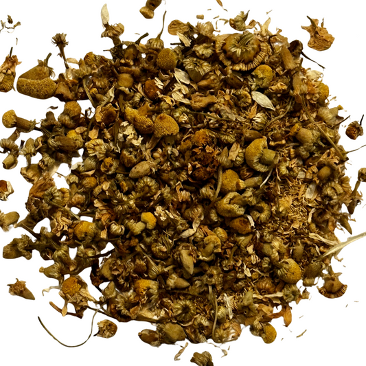 Egyptian Chamomile